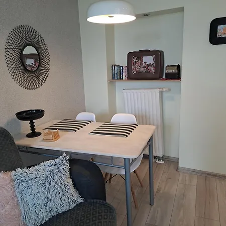Apartment Staszica