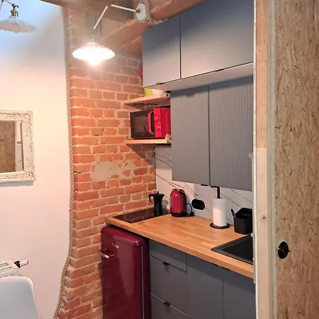 Apartmán Staszica Starowka *